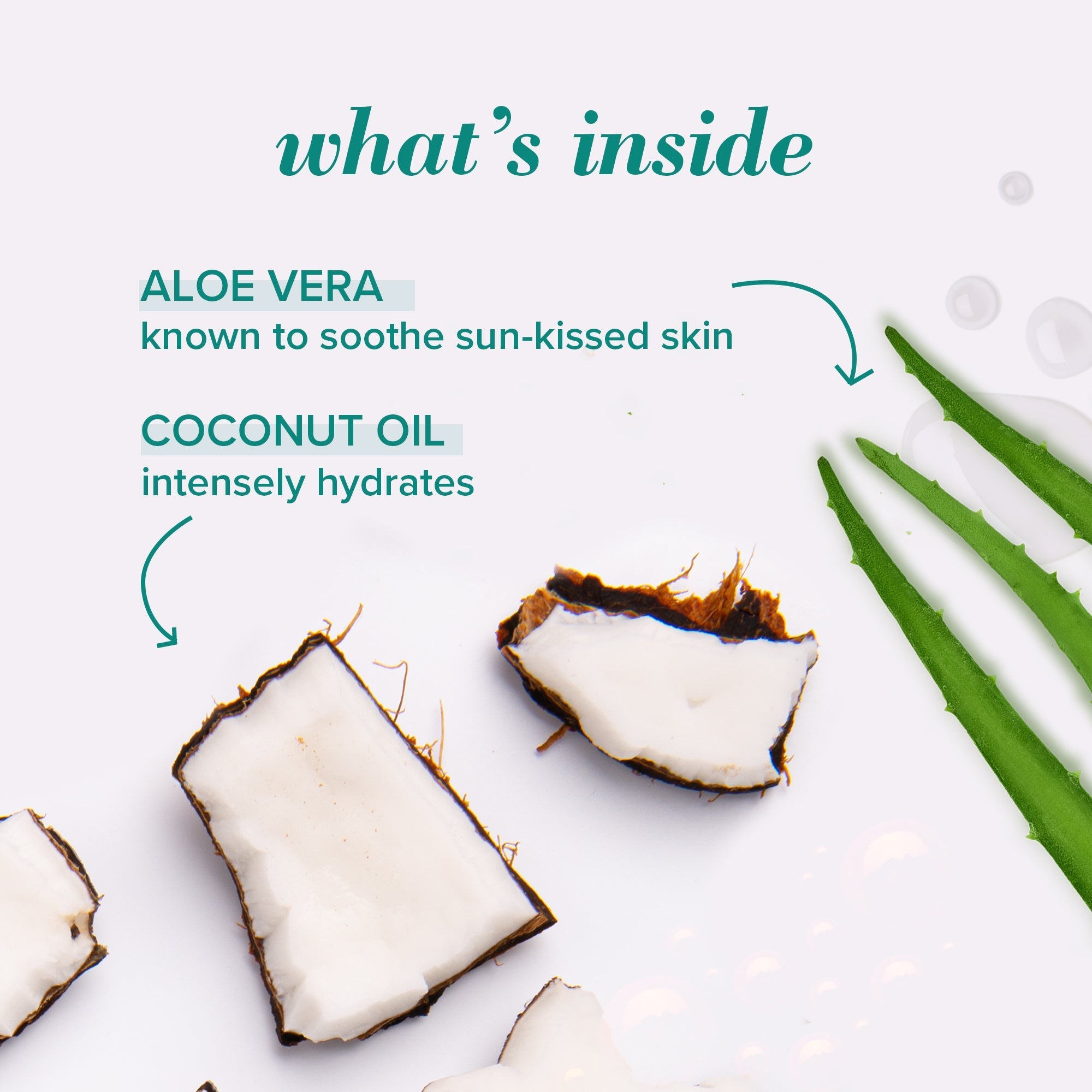 Aloe After Sun Soother