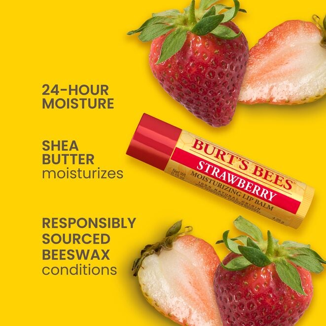 Best of Burt's Lip Balm 4-Pack