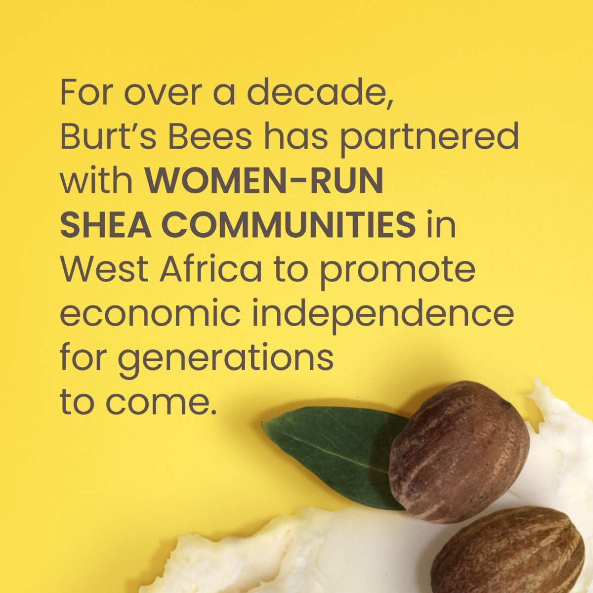 Shea + Mango Hand & Body Butter