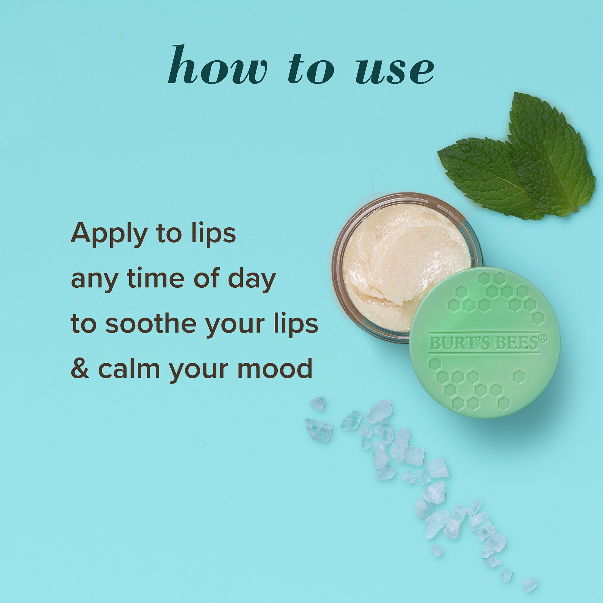 Sweet Mint Lip Treatment with Sea Minerals